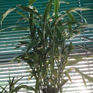 Meet your Posher, Karla